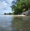 P1000430