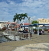 P1010607