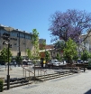 P1060467