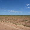 P1060691