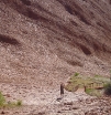 PC101047